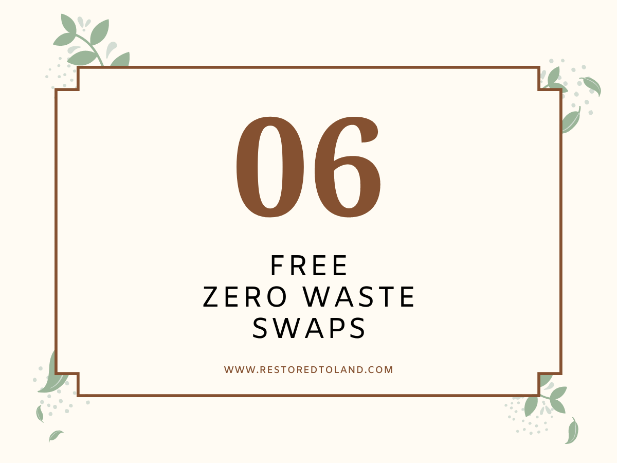 Steps Towards Zero Waste: test "06 free zero waste swaps" with a leaf boarder