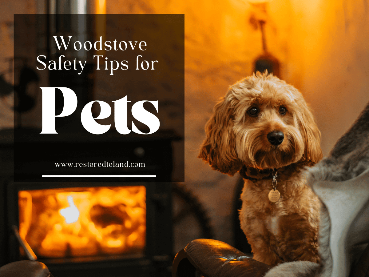 "woodstove safety tips for pets" over image of small brown dog in front of woodstove